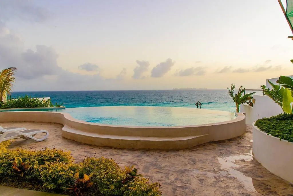 Home Dexter Nilsson Mexico